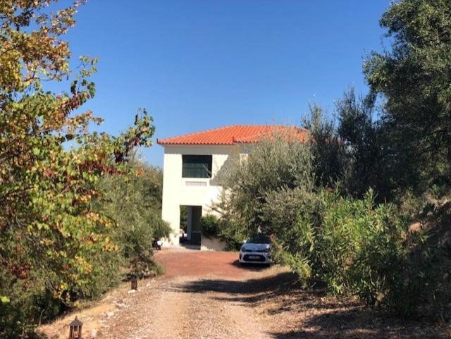 Kyparissia De Wandelboom Villa Vrises  Buitenkant foto