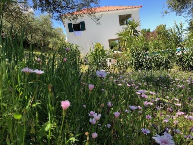 Kyparissia De Wandelboom Villa Vrises  Buitenkant foto