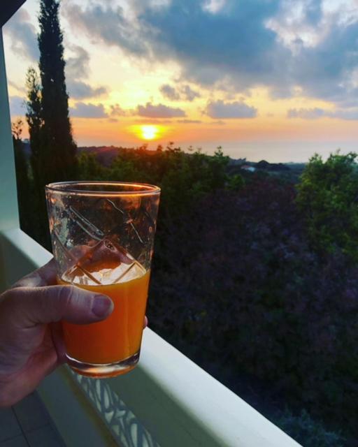 Kyparissia De Wandelboom Villa Vrises  Buitenkant foto