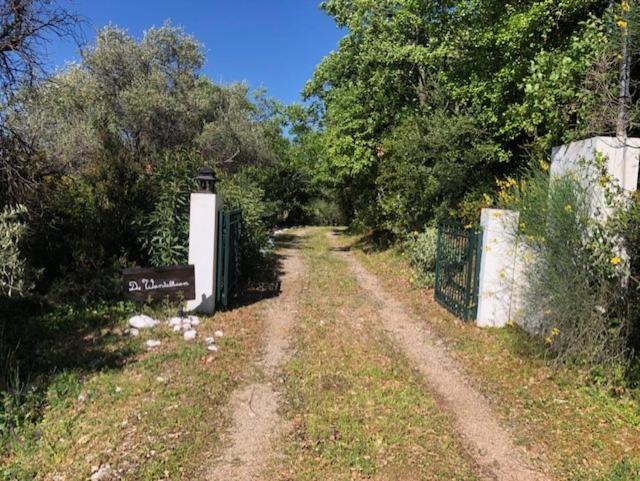 Kyparissia De Wandelboom Villa Vrises  Buitenkant foto