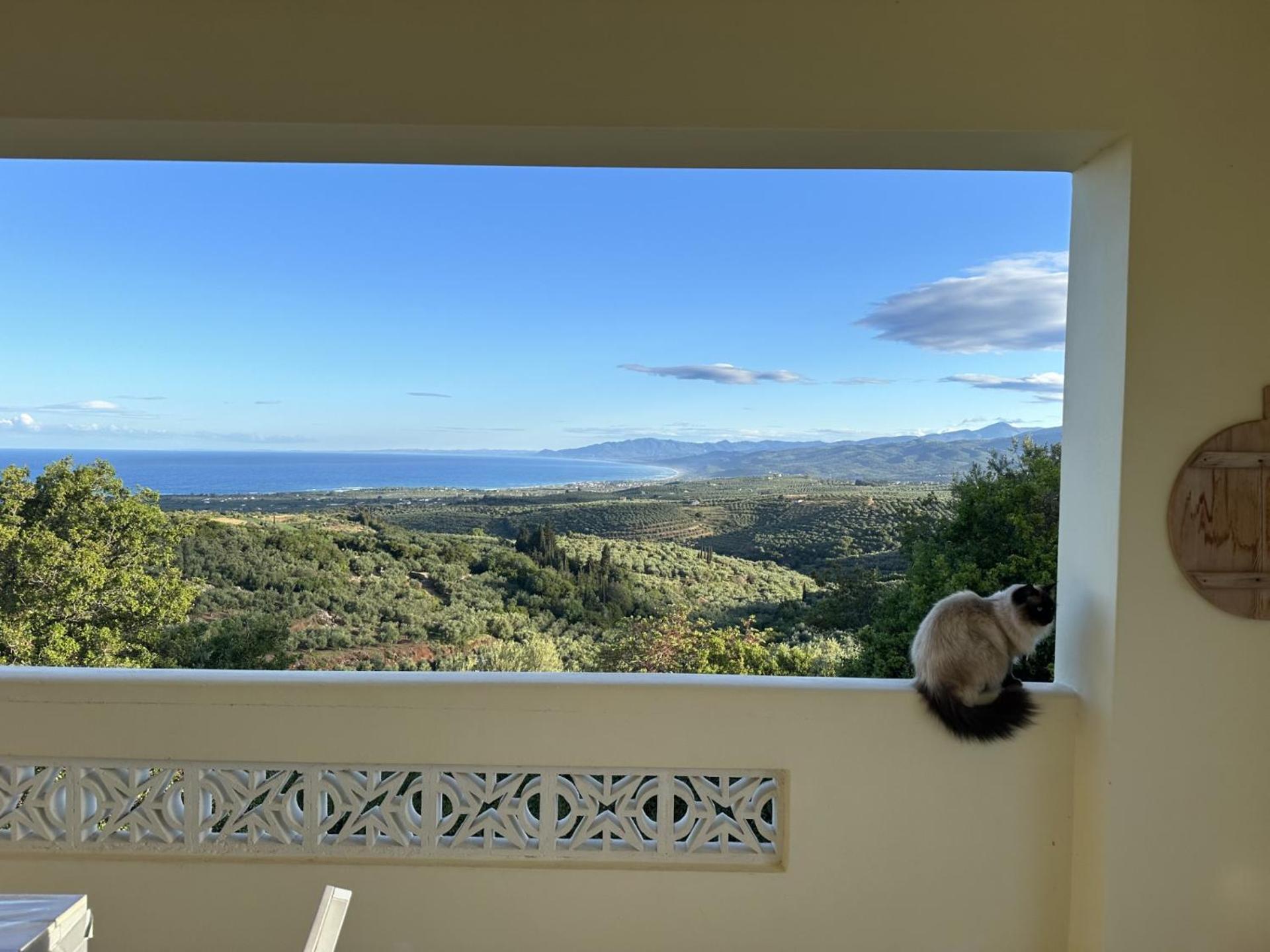 Kyparissia De Wandelboom Villa Vrises  Buitenkant foto